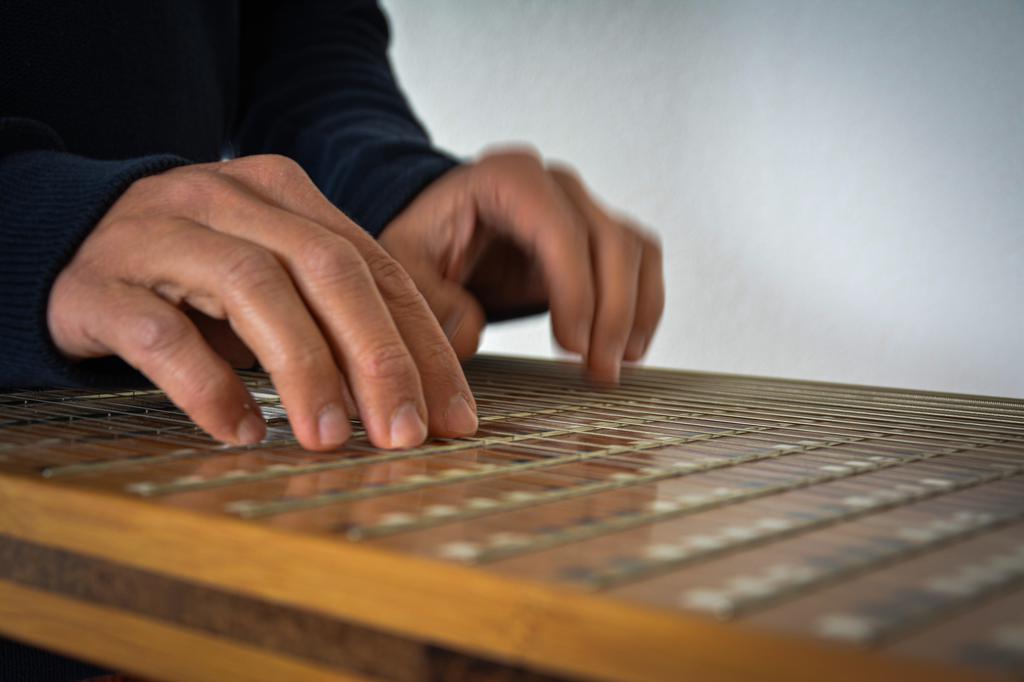 Partitions cérébrales - 7