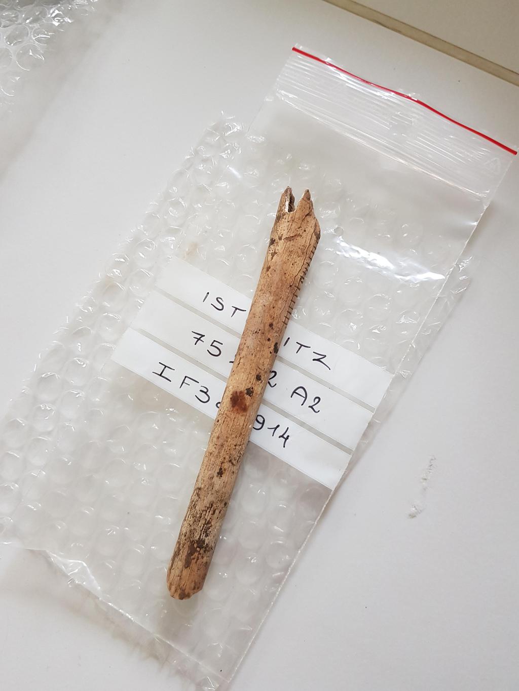 Latenium-Jour7et8--5