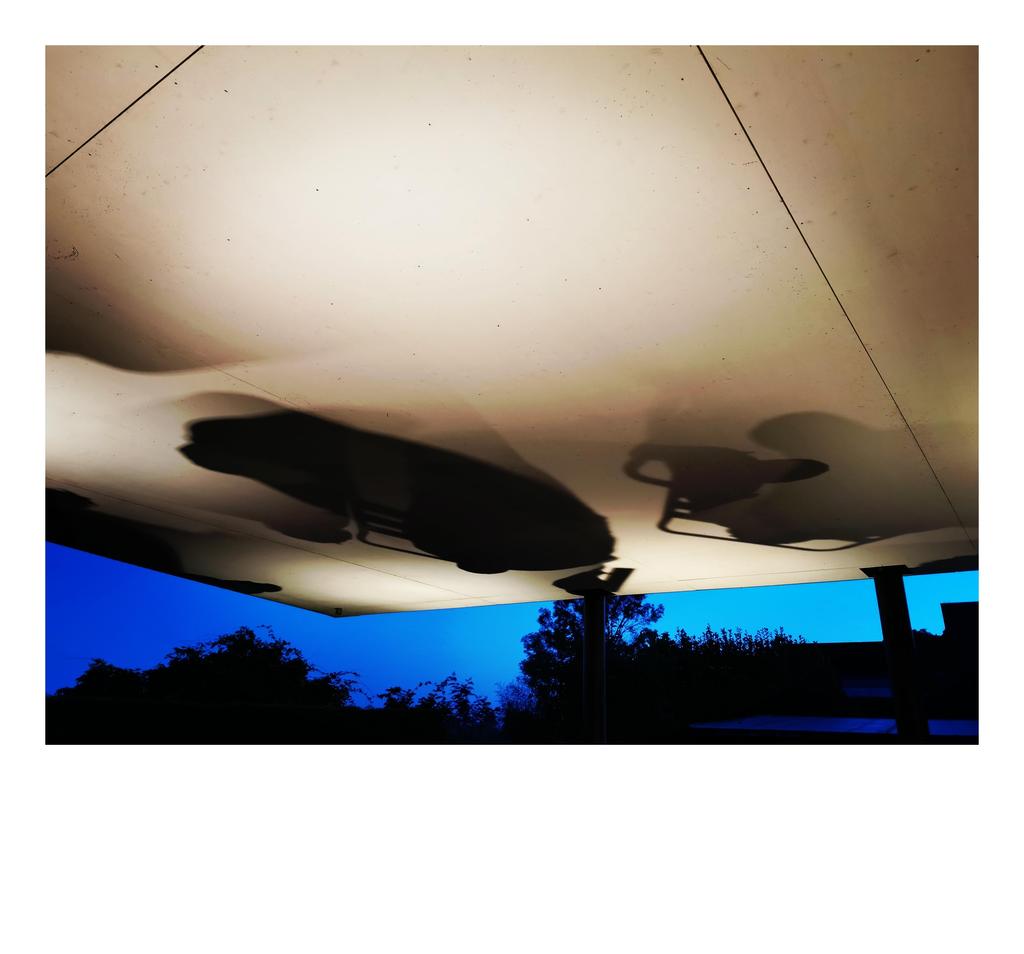 AnaGoldin-Midsummernight-16