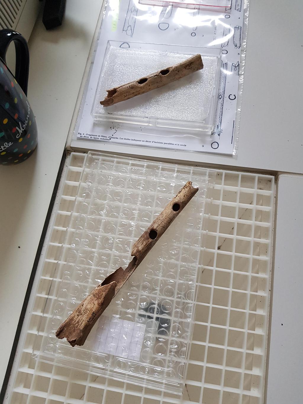 Latenium-Jour7et8--6