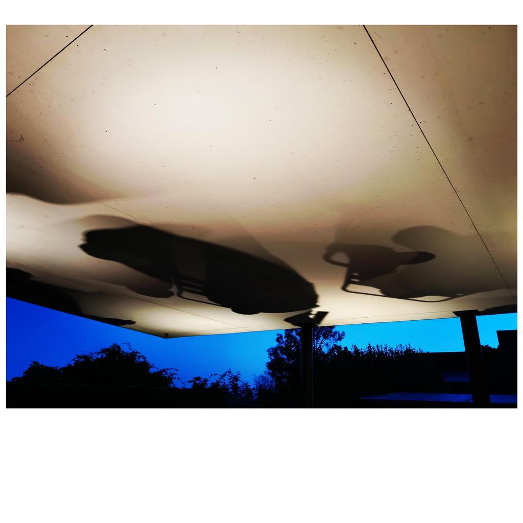 AnaGoldin-Midsummernight-1